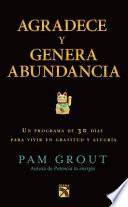 Libro Agradece y Genera Abundacia