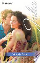 Libro Amor por sorpresa