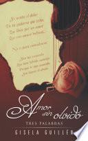 Libro Amor sin olvido
