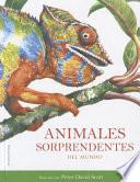 Libro Animales sorprendentes del mundo / Amazing Animals from Around the World