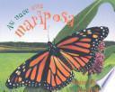 Libro Asi Nace Una Mariposa (Starting Life: Butterfly)