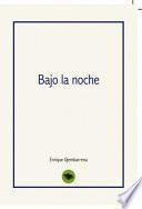 Libro Bajo la noche