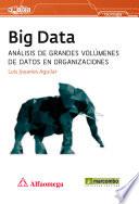 Libro Big Data
