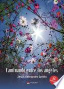 Libro Caminando entre los ángeles
