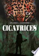 Libro Cicatrices