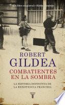 Libro Combatientes en la sombra