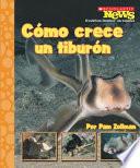 Libro Como crece un tiburon / A Shark Pup Grows Up