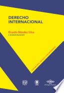 Libro Derecho internacional