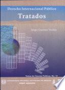 Libro Derecho internacional publico / Public International Law