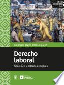 Libro Derecho laboral