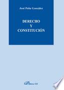 Libro Derecho y constitución