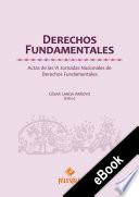 Libro Derechos Fundamentales