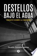 Libro Destellos bajo el agua