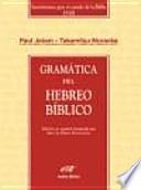 Libro Grammar of biblical Hebrew