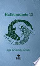 Libro Haikuneando 13