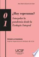 Libro ¿Hay esperanza? Interpelar la pandemia desde la Ecología Integral