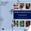 Libro Hierbas medicinales / Medicinal Herbs