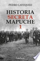 Libro Historia secreta mapuche 1