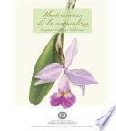 Libro Ilustraciones de la naturaleza