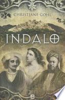 Libro Indalo