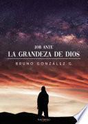 Libro Job ante la grandeza de Dios