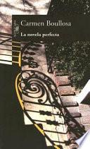 Libro La novela perfecta