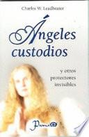 Libro Los Angeles Custodios