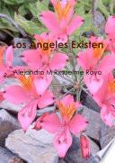 Libro Los Angeles Existen