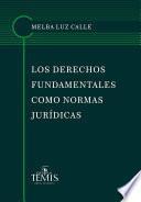 Libro Los derechos fundamentales como normas jurídicas