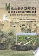 Libro MÁS ALLÁ DE LA COMPETENCIA AGRÍCOLA HISPANO-MARROQUÍ