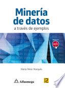 Libro Minería de datos