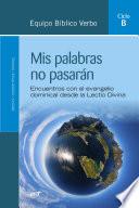 Libro Mis palabras no pasarán (Ciclo B)