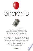 Libro Opción B