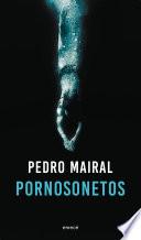 Libro Pornosonetos