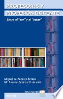Libro Profesores y profesión docente