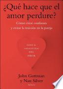 Libro ¿Qué hace que el amor perdure?