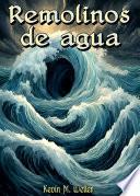 Libro Remolinos de agua