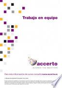 Libro Trabajo en equipo
