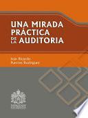 Libro Una mirada práctica de la auditoría