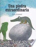 Libro Una Piedra Extraordinaria