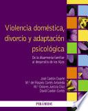 Libro Violencia doméstica, divorcio y adaptación psicológica