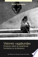 Libro Visiones vagabundas