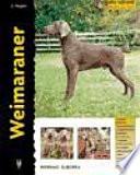 Libro Weimaraner